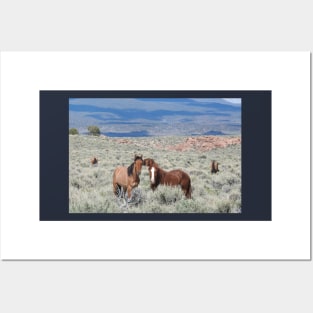 Wild horses, mustangs, wildlife, nature, gifts Posters and Art